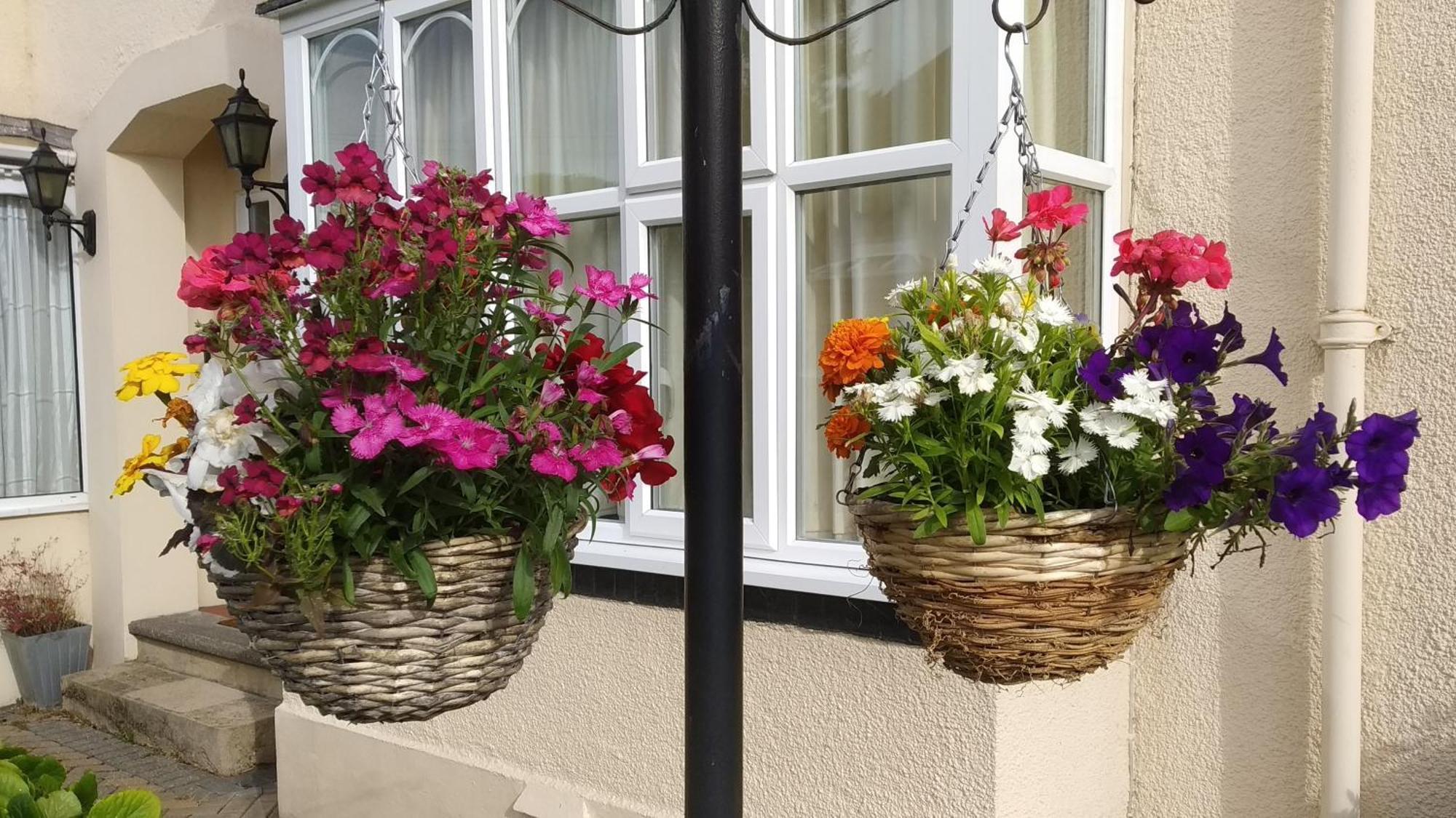 Cornerways Guest House Oksford Zewnętrze zdjęcie